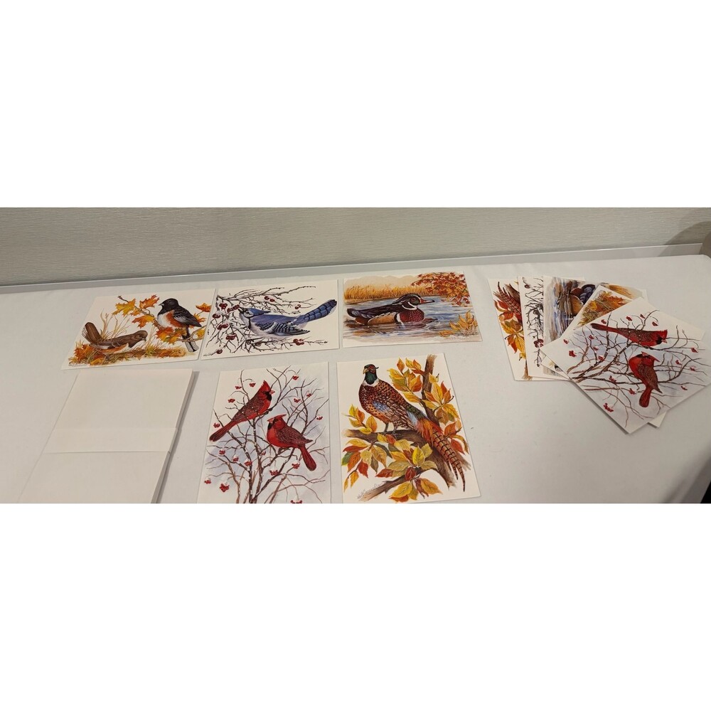 Vintage Bird Note Cards Set John Cornacchio Art Set of 10 with envelopes